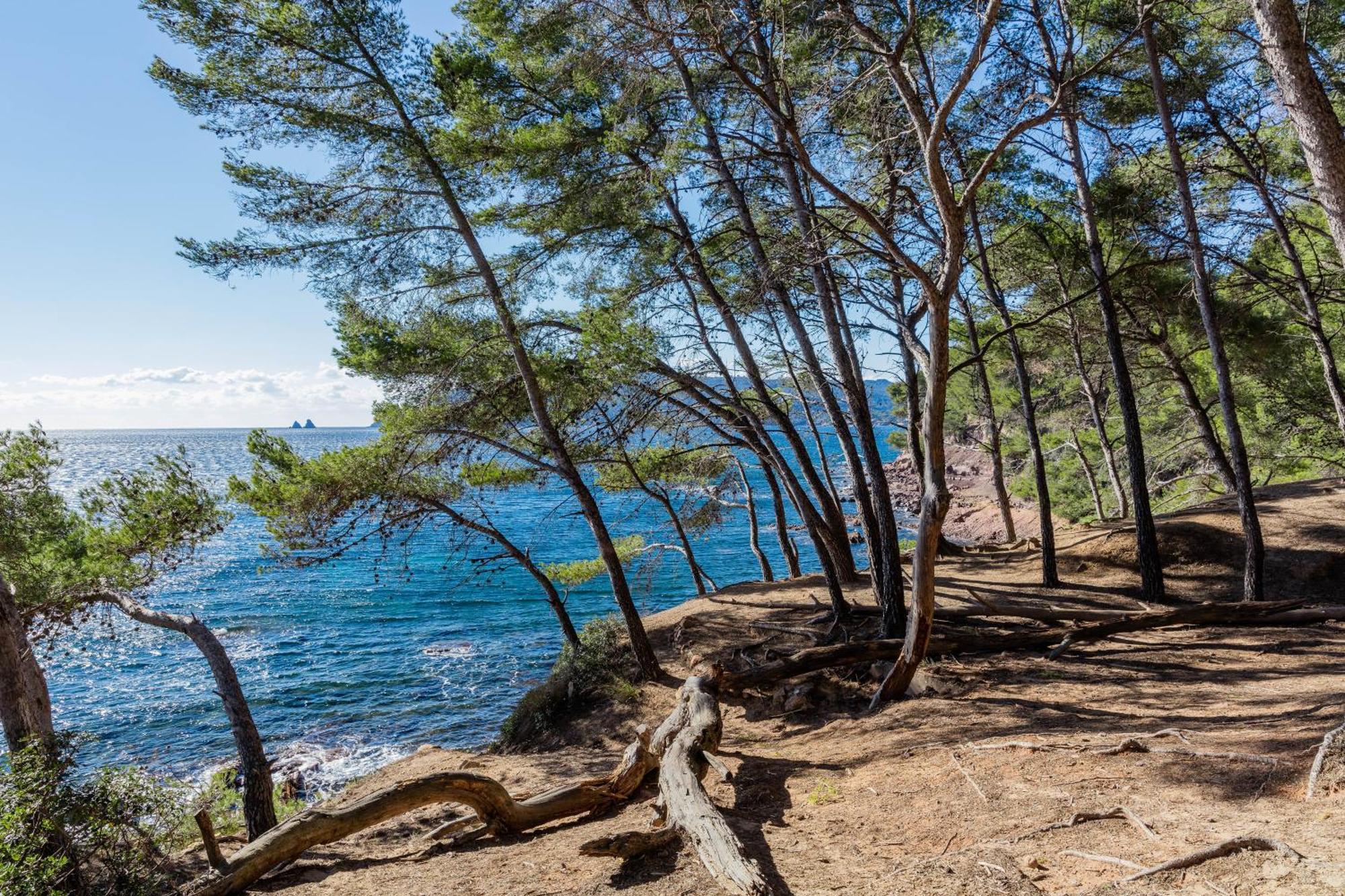 Superbe Studio Avec Terrasse Proximite Plage Saint-Mandrier-sur-Mer Εξωτερικό φωτογραφία